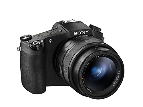 Sony Câmera fotográfica digital DSC-RX10M II Cyber-shot...