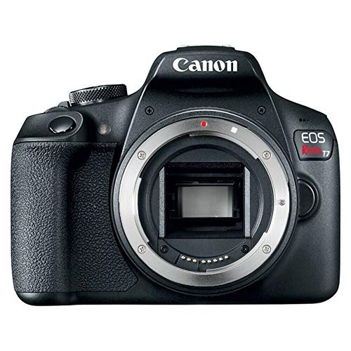 Canon Somente corpo de câmera SLR digital EOS Rebel T7 (caixa do kit)