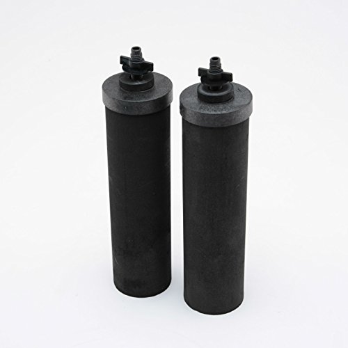 Berkey Elementos filtrantes de água preta de reposição BB9-2 (2 filtros)