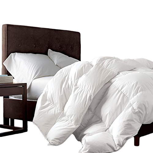  Egyptian Bedding Luxuoso edredom de penas de ganso siberiano tamanho queen 100% algodão egípcio 1200 fios 1200TC – Design de caixa defletor – 750+ FP – 50 onças – edredom completo/Queen –...