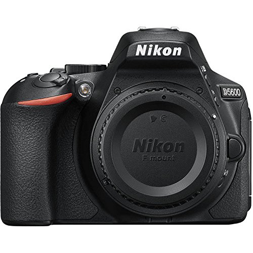Nikon Corpo Digital SLR D5600 DX