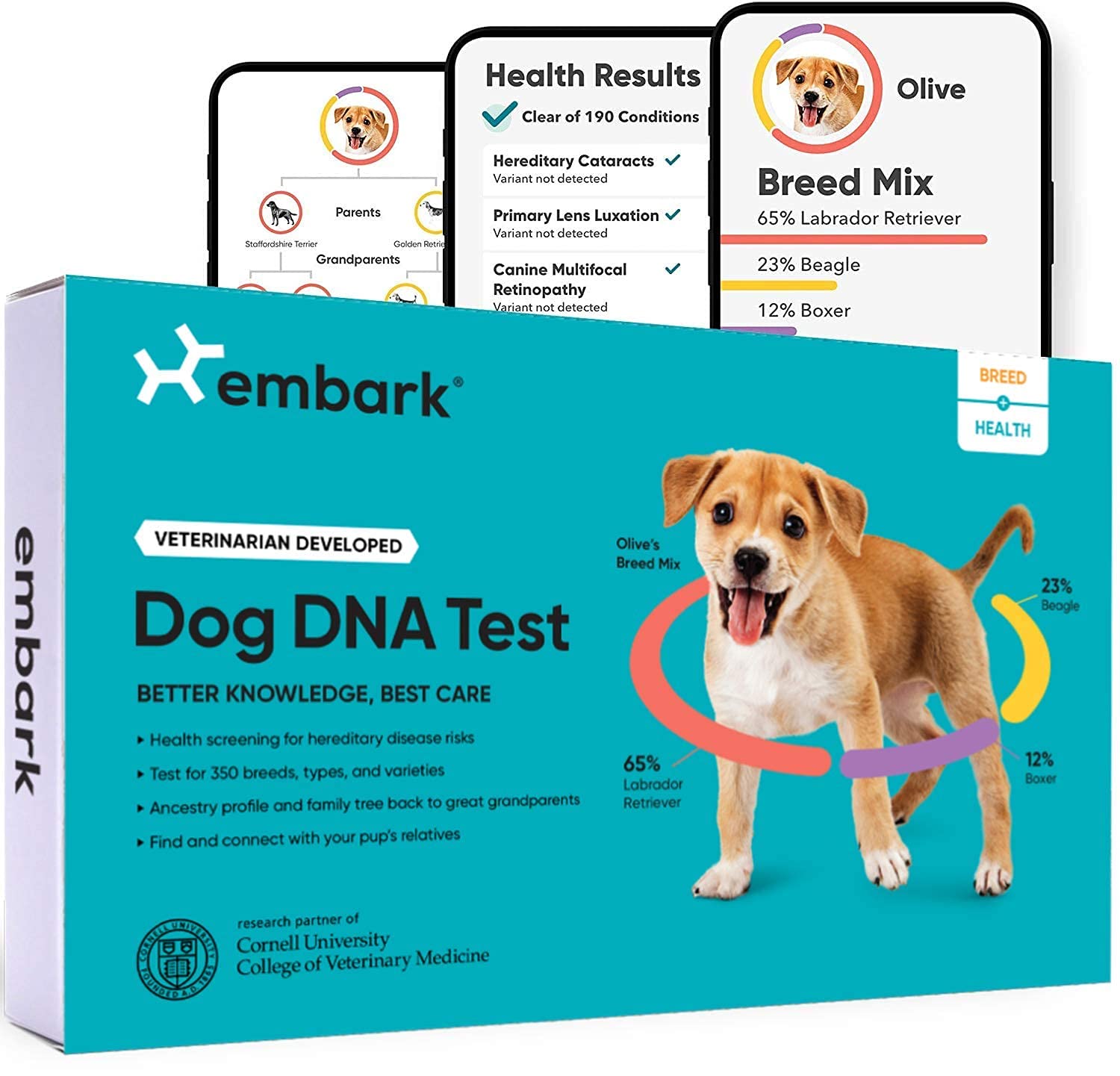 Embark Kit de teste de DNA para cães | Raça e Descoberta de Ascendência Genética | Detecção de traços e saúde | Esfregaço de bochecha em casa