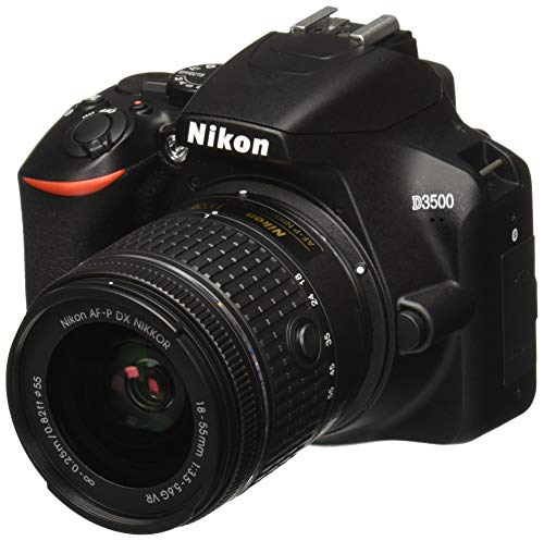 Nikon D3500 W / AF-P DX NIKKOR 18-55mm f / 3.5-5.6G VR Preto