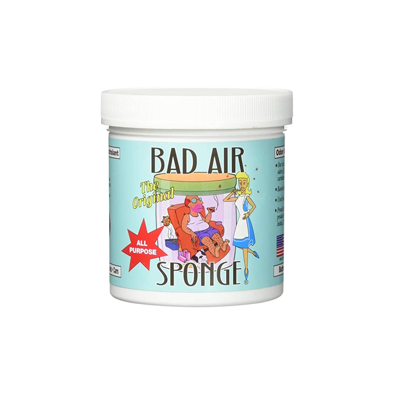 Bad Air Sponge 