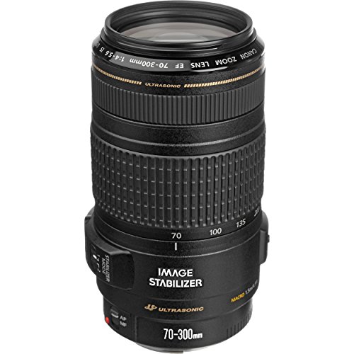 Canon Lente EF 70-300mm f / 4-5.6 IS USM para câmeras EOS SLR