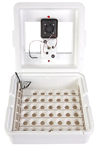 Little Giant Incubadora de ar circulante digital com virador automático (41 ovos) Incubadora de ovos com ventilador e virador de ovos (art. nº 11300)