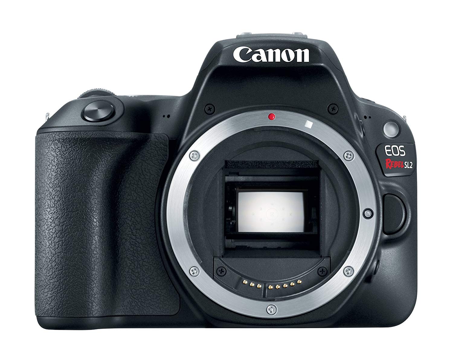 Canon Corpo da câmera digital SLR EOS Rebel SL2 - habil...