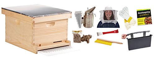 Little Giant Kit de colmeia para iniciantes de luxo com 10 quadros Kit de iniciação de apicultura premium para iniciantes (item nº HIVE10KIT)